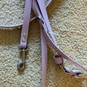 Biothane Leash & Collar